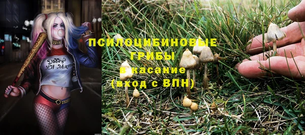 гидропоника Балахна